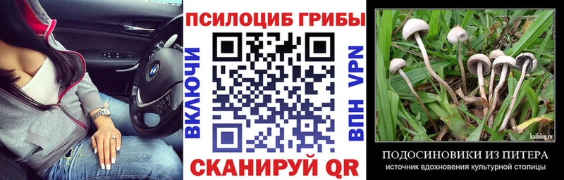 где купить наркотик  Белая Холуница  Галлюциногенные грибы мухоморы 