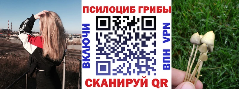 Галлюциногенные грибы MAGIC MUSHROOMS Белая Холуница